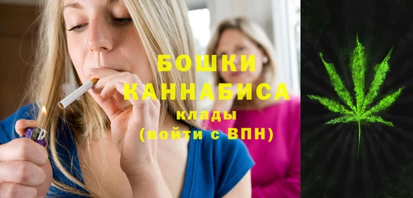 индика Балахна