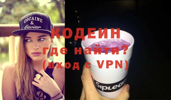 индика Балахна