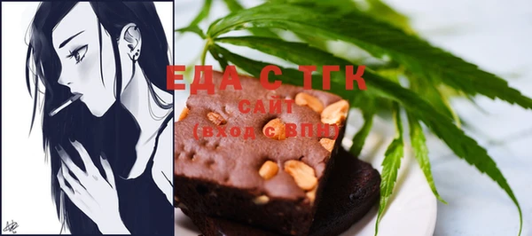 индика Балахна
