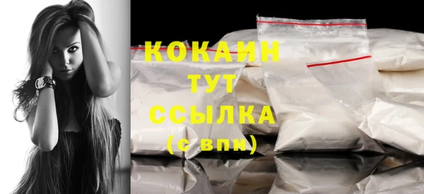 индика Балахна