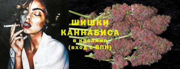 индика Балахна