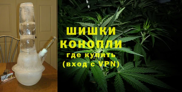 индика Балахна
