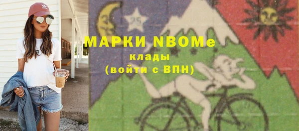 индика Балахна
