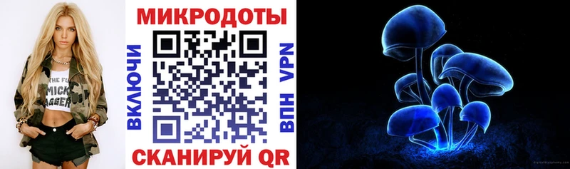 закладки  Питкяранта  нарко площадка телеграм  Галлюциногенные грибы ЛСД 